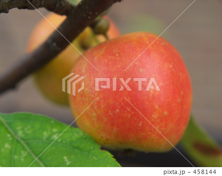 りんご 458144
