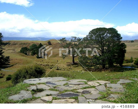 ニュージーランド ホビット村跡地 ニュージーランド ホビット村跡地 458889