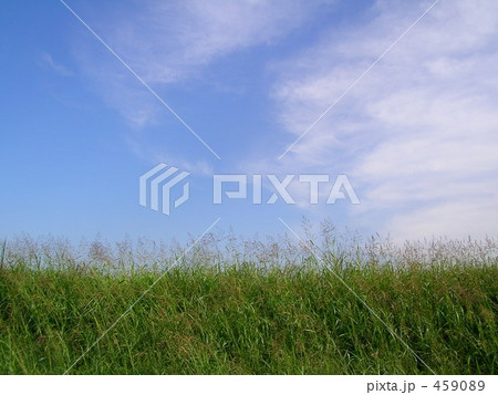 やっと来た晴れ間 459089