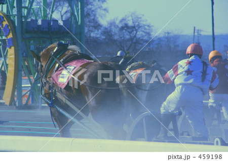 ばんえい競馬 ばんえい競馬 459198