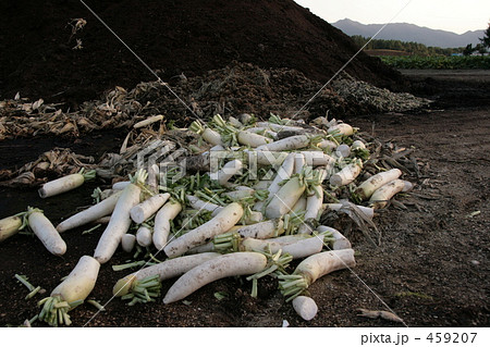 不合格品 不合格品 459207