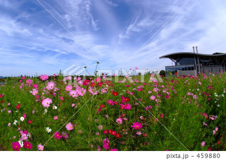 公園 公園 459880