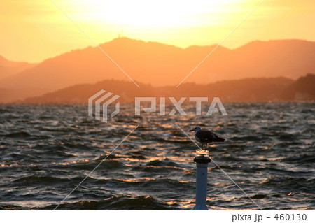 宍道湖夕景 宍道湖夕景 460130