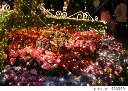 イルミネーション 460369