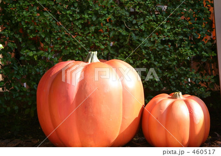 ハロウィン 460517