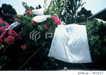 蒲団干し 461617