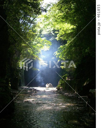○神秘の森● 461855