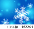 雪結晶イメージCG 雪結晶イメージCG 462204