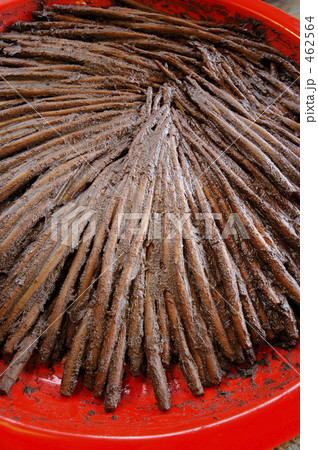 ごぼう漬け　愛知 462564