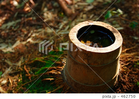 竹の水溜り 462750