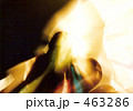 かぐや姫 463286