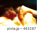 羽衣 463287