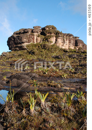 ギアナ高地のトレッキング 463569