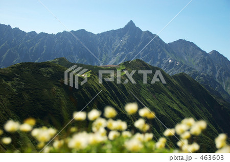 槍ヶ岳 槍ヶ岳 463603