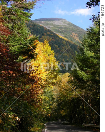 紅葉の始まった蓼科山 紅葉の始まった蓼科山 464723