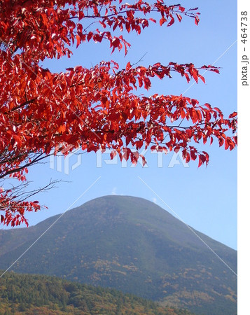 紅葉と蓼科山遠景 464738