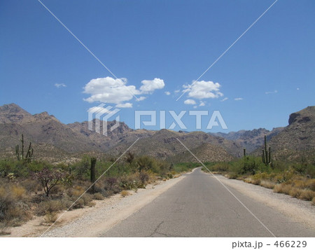 Alizona National park 466229