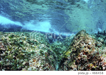 サイパン サイパン 466458