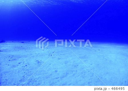 サイパン サイパン 466495