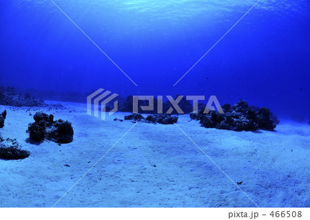 サイパン サイパン 466508