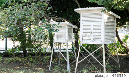 小学校の百葉箱 小学校の百葉箱 466539