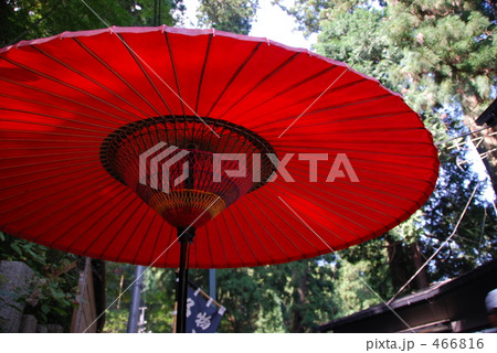 唐傘 唐傘 466816