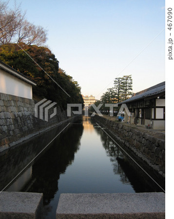 京都・二条城の堀 467090