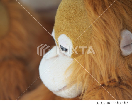 ぬいぐるみ 467468