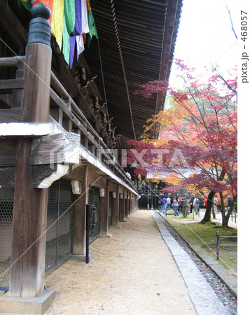 紅葉の光明寺 468057