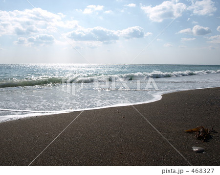 春の海岸（紀伊半島） 468327