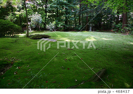 京都・野宮神社の苔庭 468437