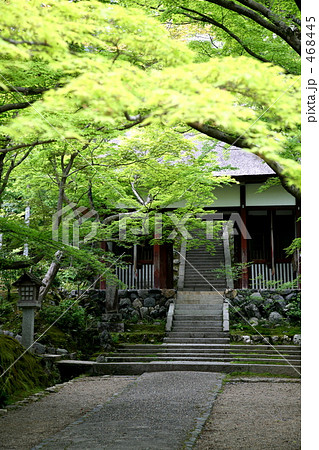 京都・嵯峨野の常寂光寺 京都・嵯峨野の常寂光寺 468445