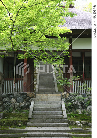京都・嵯峨野の常寂光寺 京都・嵯峨野の常寂光寺 468446