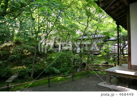 京都・嵯峨野の常寂光寺 468449