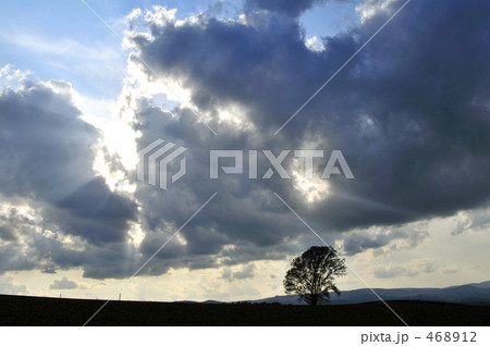 差し込む光 468912