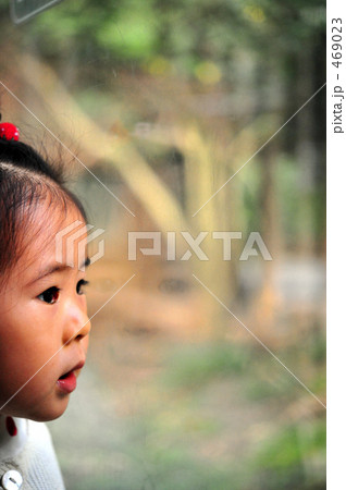 あれは・・・？ 469023