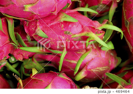 ドラゴンフルーツ 469464