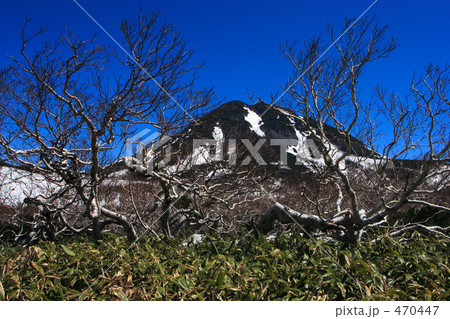 残雪の羅臼岳 470447