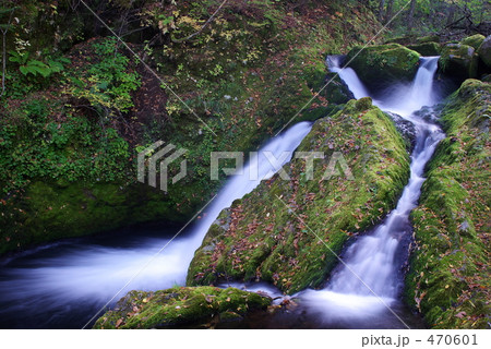 もみじの滝 470601
