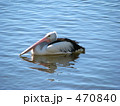 ペリカン 470840