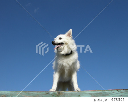 遠くまで見えるよ 遠くまで見えるよ 473595