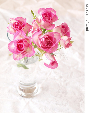 花瓶に生けたピンクのバラの写真素材