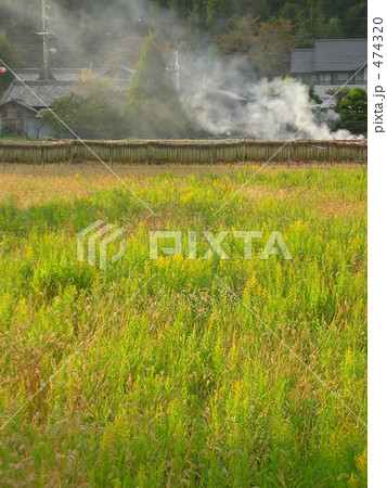 休耕田のある風景 474320