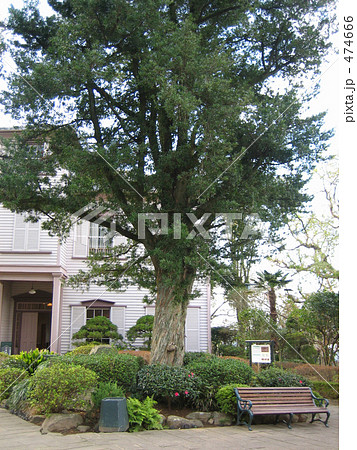 長崎／グラバー園 474666