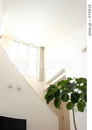 2階リビングの観葉植物と吹き抜け 474919