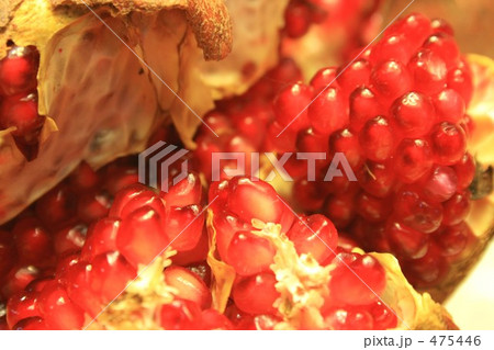 ザクロの輝き 475446