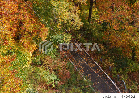 紅葉のトンネル 475452