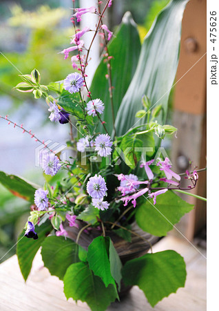 秋のもてなし 秋のもてなし 475626