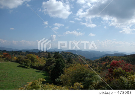 茶臼山の紅葉 b 478003