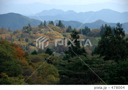 茶臼山の紅葉 a 478004